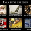 dog-breeder