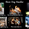 dog-show-handler